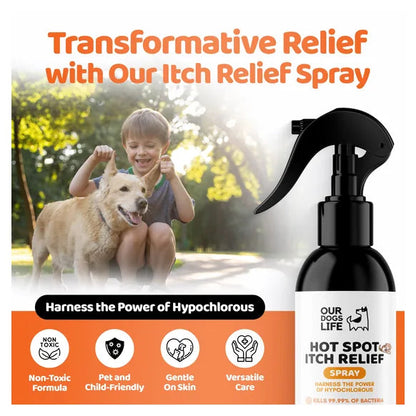OurDogsLife Itch Spray for Dogs (250ml) – product image 3 – dog skin & coat care