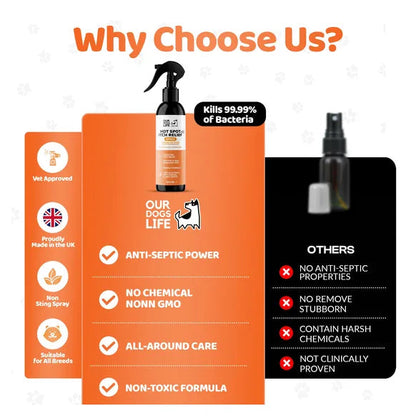 OurDogsLife Itch Spray for Dogs (250ml) – product image 4 – dog skin & coat care