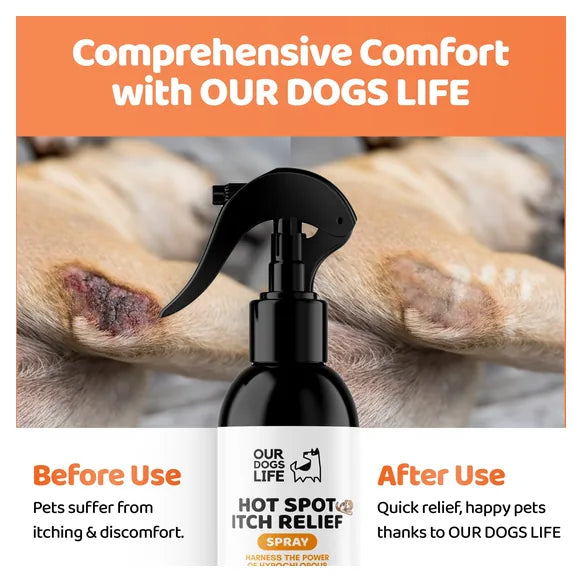 OurDogsLife Itch Spray for Dogs (250ml) – product image 5 – dog skin & coat care