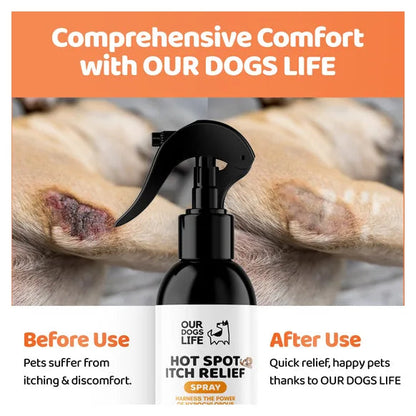 OurDogsLife Itch Spray for Dogs (250ml) – product image 5 – dog skin & coat care