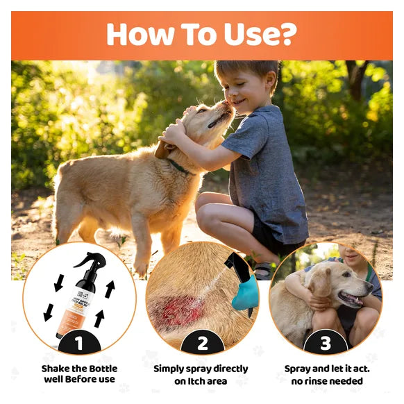 OurDogsLife Itch Spray for Dogs (250ml) – product image 6 – dog skin & coat care