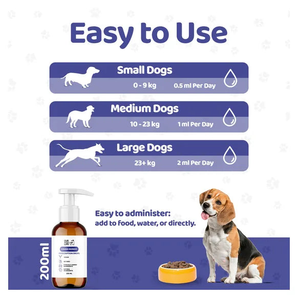OurDogsLife Kennel Cough Treatment for Dogs (200ml) – product image 7 – dog first aid & recovery
