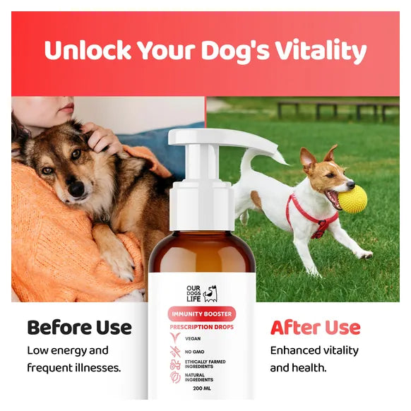 OurDogsLife Liquid Multivitamin Drops for Dogs (200ml) – product image 5 – dog vitamins & wellness
