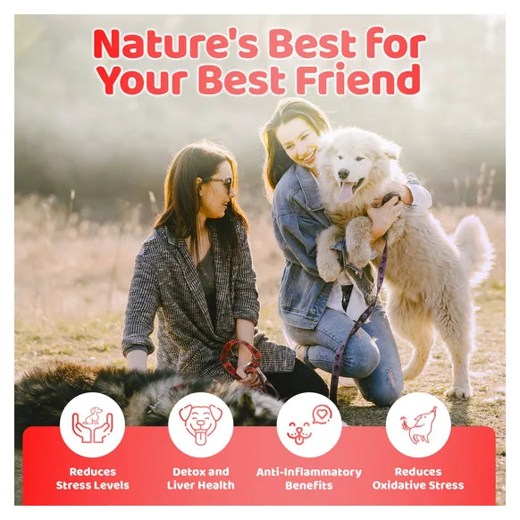 OurDogsLife Liquid Multivitamin Drops for Dogs (200ml) – product image 6 – dog vitamins & wellness