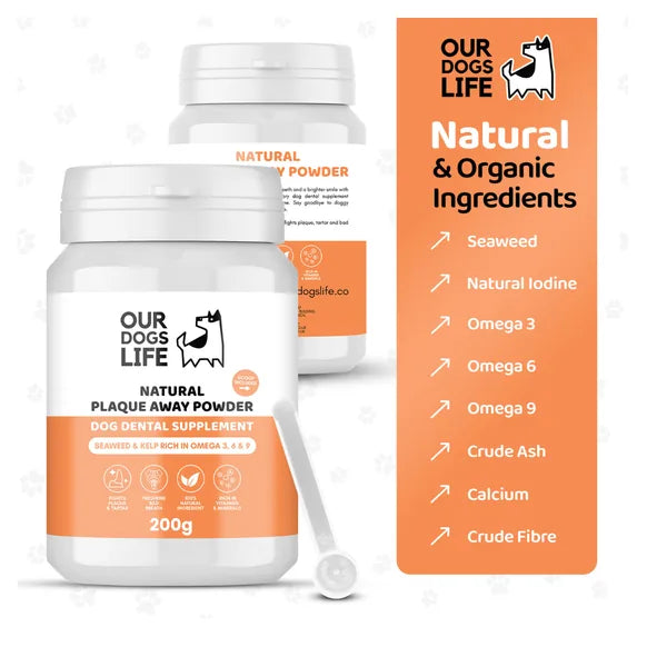 OurDogsLife Plaque Remover for Dogs – product image 2 – dog dental care