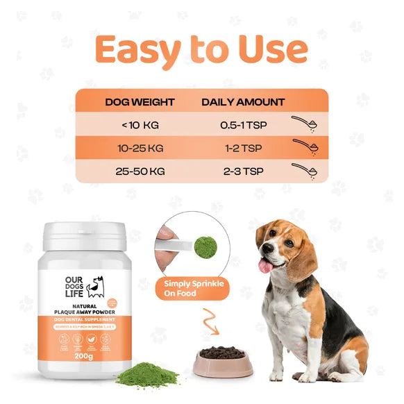 OurDogsLife Plaque Remover for Dogs – product image 3 – dog dental care