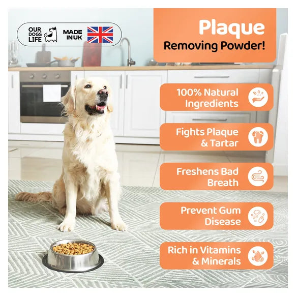 OurDogsLife Plaque Remover for Dogs – product image 4 – dog dental care