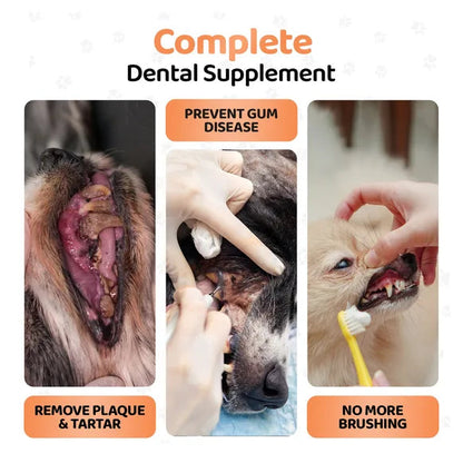 OurDogsLife Plaque Remover for Dogs – product image 6 – dog dental care