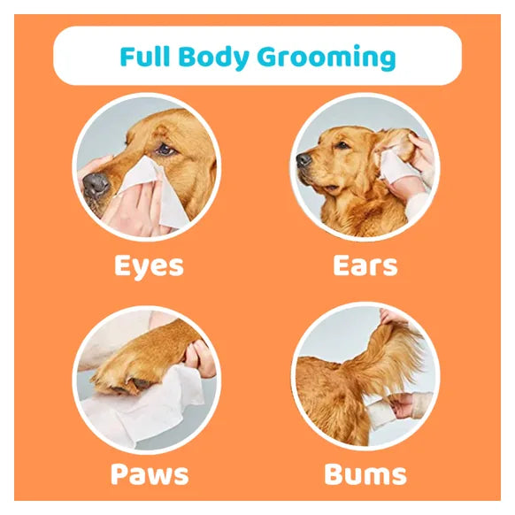 OurDogsLife Scented Grooming Wipes – product image 2 – dog grooming
