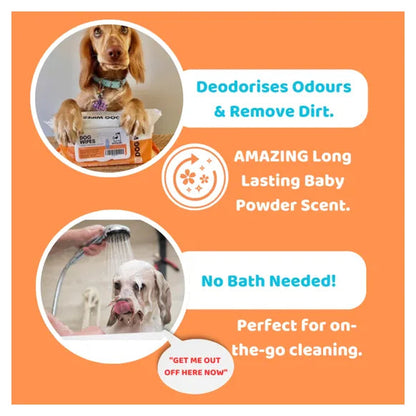 OurDogsLife Scented Grooming Wipes – product image 3 – dog grooming