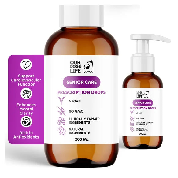 OurDogsLife Senior Dog Supplement Drops (200ml) – product image 2 – dog vitamins & wellness
