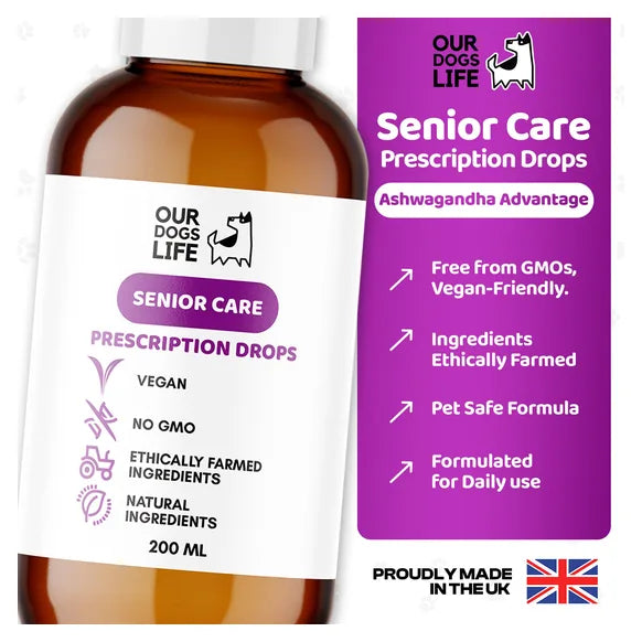 OurDogsLife Senior Dog Supplement Drops (200ml) – product image 3 – dog vitamins & wellness