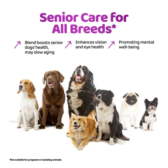 OurDogsLife Senior Dog Supplement Drops (200ml) – product image 5 – dog vitamins & wellness