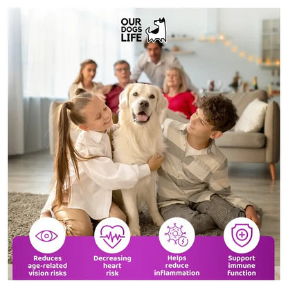 OurDogsLife Senior Dog Supplement Drops (200ml) – product image 6 – dog vitamins & wellness