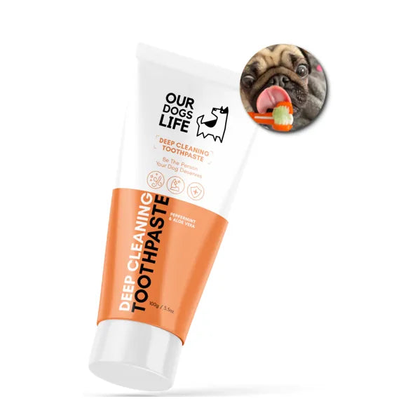 OurDogsLife Toothpaste – Default Title – dog dental care