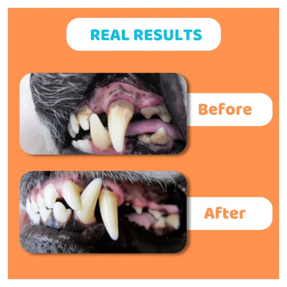 OurDogsLife Toothpaste – product image 2 – dog dental care