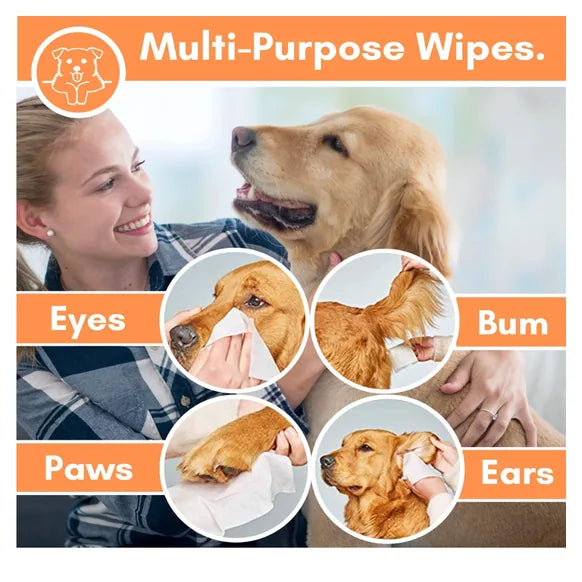 OurDogsLife Unscented Dog Grooming Wipes – product image 3 – dog grooming