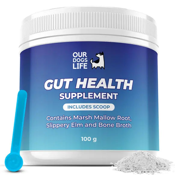 OurPetsLife Natural Gut Health Digestive Support Powder for Dogs 100g natural dog digestive and gut health supplement