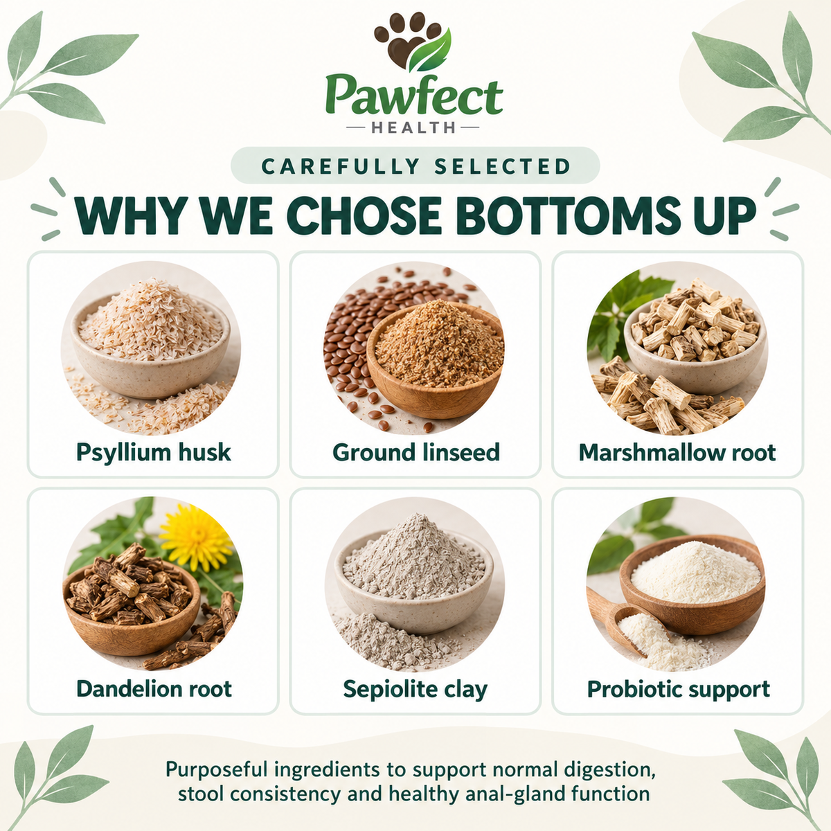 Key ingredients in Proflax Bottoms Up: psyllium husk, ground linseed, marshmallow root, dandelion root, sepiolite clay and probiotic support