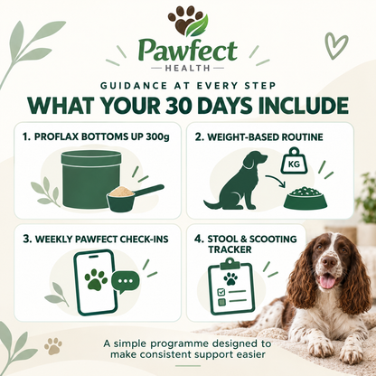 Contents of the Pawfect 30-Day Tummy and Stool Programme: Proflax Bottoms Up 300g, weight-based routine, weekly check-ins and stool and scooting tracker