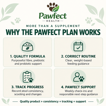 How the Pawfect 30-Day Tummy and Stool Programme combines a quality formula, feeding routine, progress tracking and weekly support