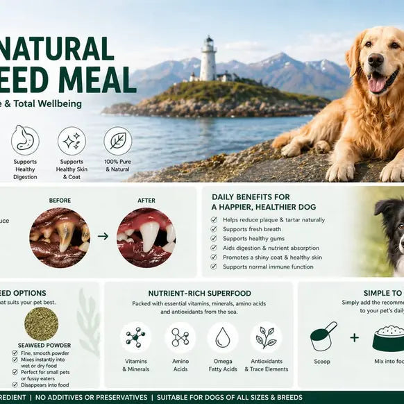 Pet Wiz 100% Organic Seaweed Meal for Dogs 300g natural dog digestive and gut health supplement