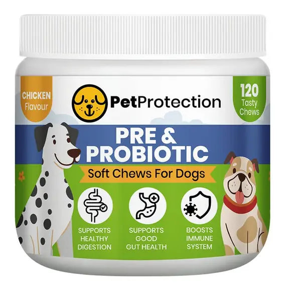PetProtection prebiotic and probiotic digestive soft chews for dogs
