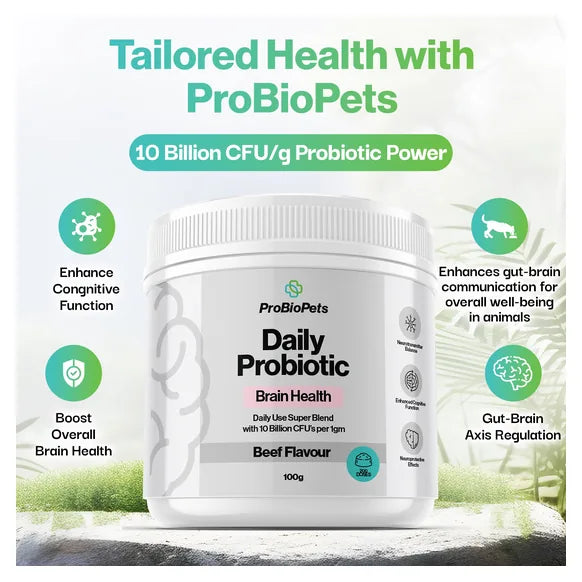 ProBioPets Brain Health Probiotic For Pets – product image 3 – senior & cognitive pet supplement