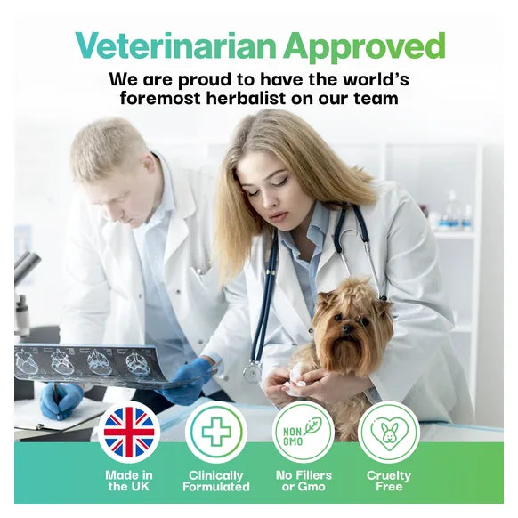 ProBioPets Brain Health Probiotic For Pets – product image 6 – senior & cognitive pet supplement