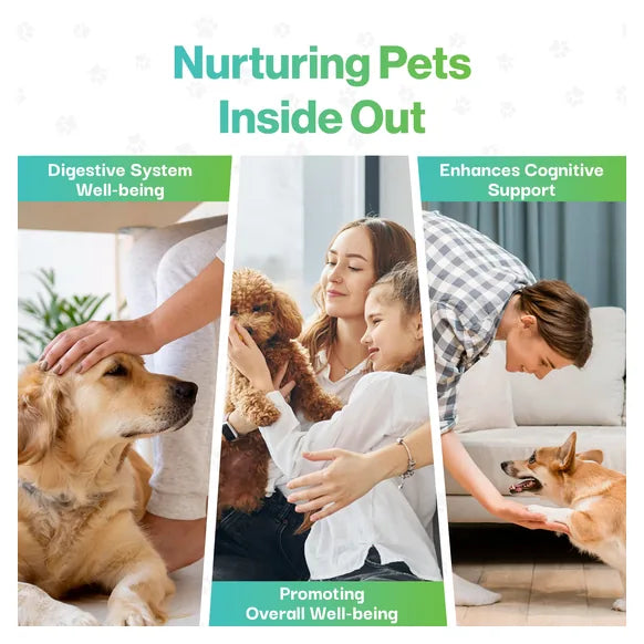 ProBioPets Brain Health Probiotic For Pets – product image 7 – senior & cognitive pet supplement