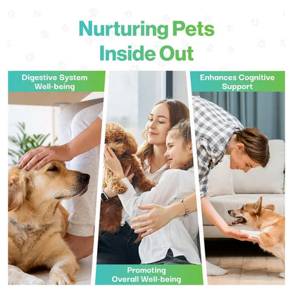 ProBioPets Brain Health Probiotic For Pets – product image 7 – senior & cognitive pet supplement
