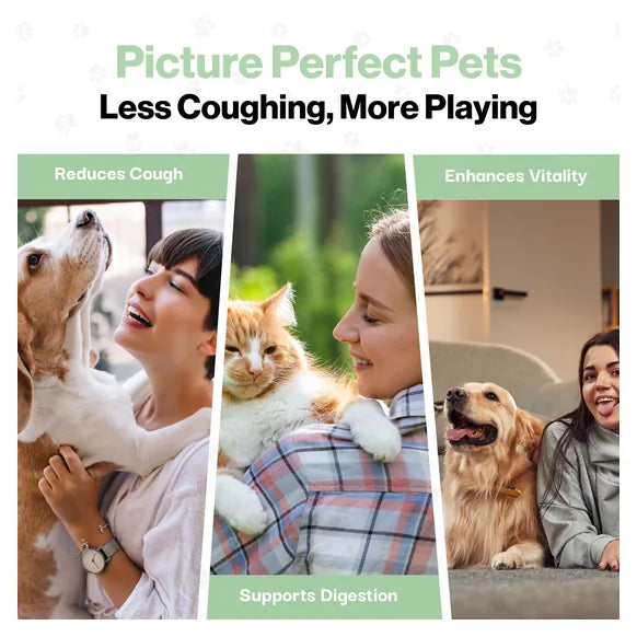 ProBioPets Cough Remedy Probiotic For Pets – product image 8 – pet recovery supplement