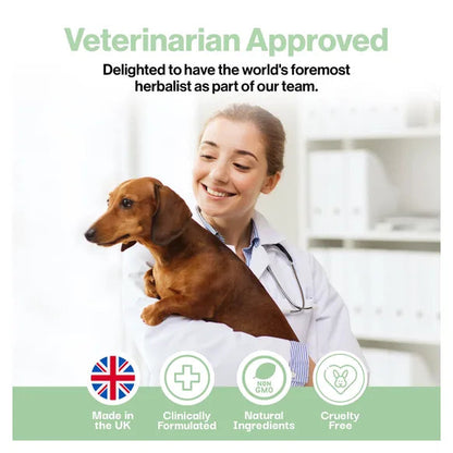 ProBioPets Cough Remedy Probiotic For Pets – product image 9 – pet recovery supplement