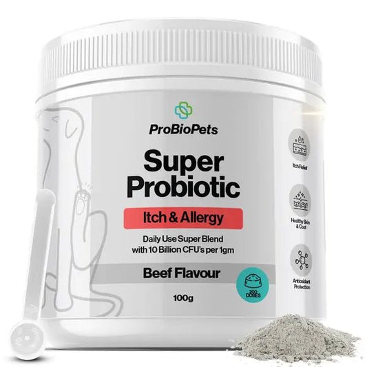 ProBioPets Itch & Allergy Probiotic Powder for Dogs and Cats 100g natural dog digestive and gut health supplement