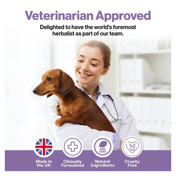 ProBioPets Muscle & Joint Probiotic For Pets – product image 6 – pet joint & mobility supplement