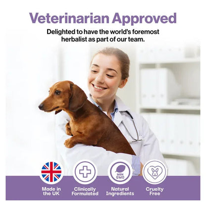 ProBioPets Muscle & Joint Probiotic For Pets – product image 6 – pet joint & mobility supplement