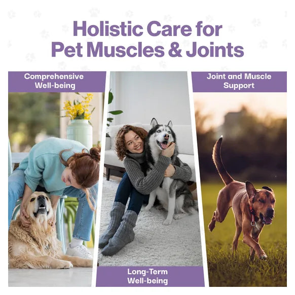 ProBioPets Muscle & Joint Probiotic For Pets – product image 8 – pet joint & mobility supplement