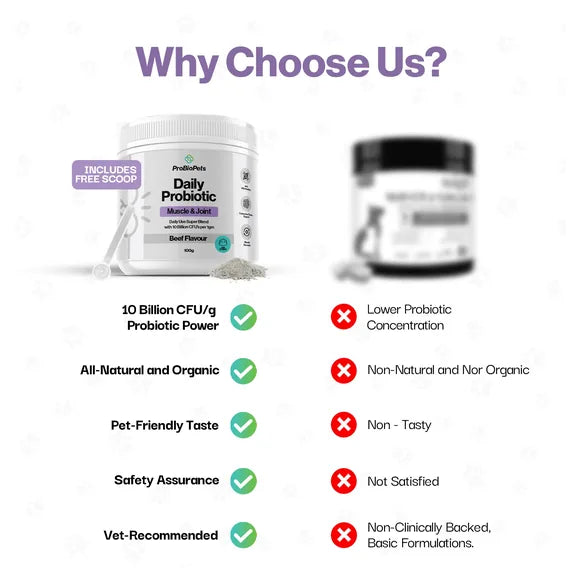 ProBioPets Muscle & Joint Probiotic For Pets – product image 9 – pet joint & mobility supplement