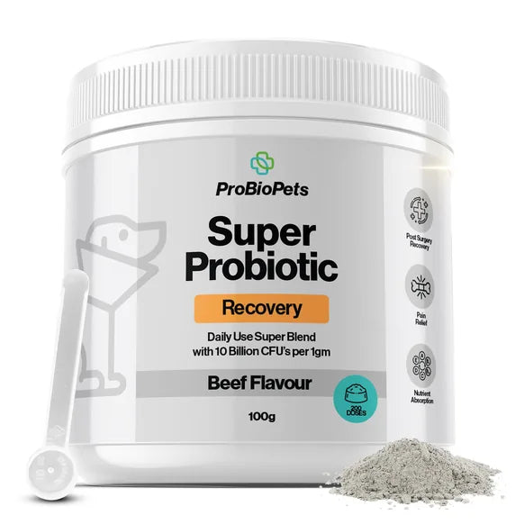 ProBioPets Recovery Probiotic For Pets – 10 Billion CFU Super Blend – pet recovery supplement