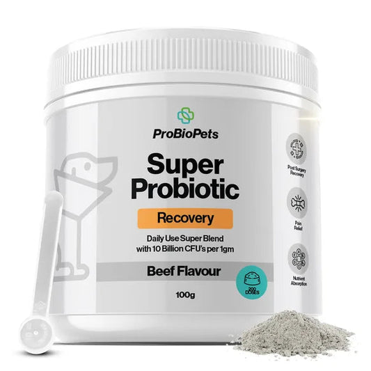 ProBioPets Recovery Probiotic For Pets – 10 Billion CFU Super Blend – pet recovery supplement