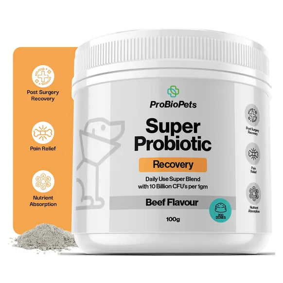 ProBioPets Recovery Probiotic For Pets – product image 2 – pet recovery supplement