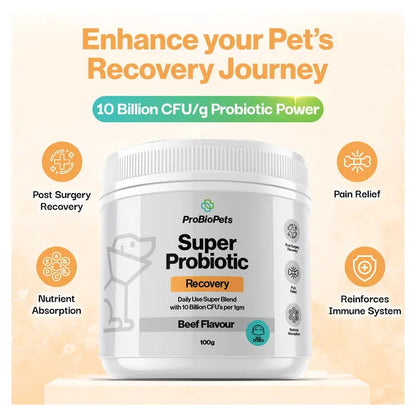 ProBioPets Recovery Probiotic For Pets – product image 3 – pet recovery supplement