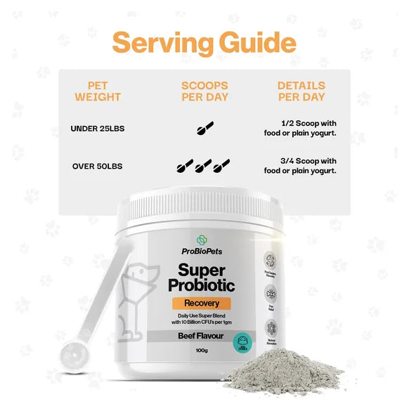 ProBioPets Recovery Probiotic For Pets – product image 5 – pet recovery supplement