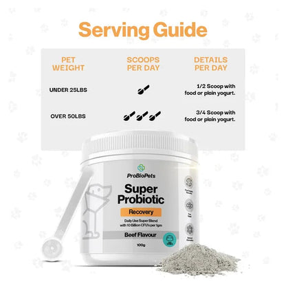 ProBioPets Recovery Probiotic For Pets – product image 5 – pet recovery supplement