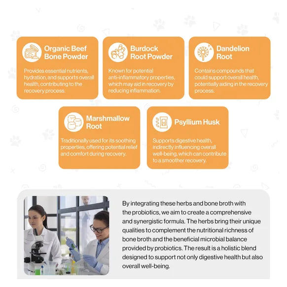 ProBioPets Recovery Probiotic For Pets – product image 7 – pet recovery supplement