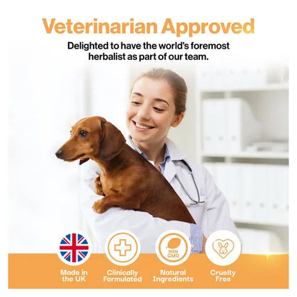 ProBioPets Recovery Probiotic For Pets – product image 9 – pet recovery supplement