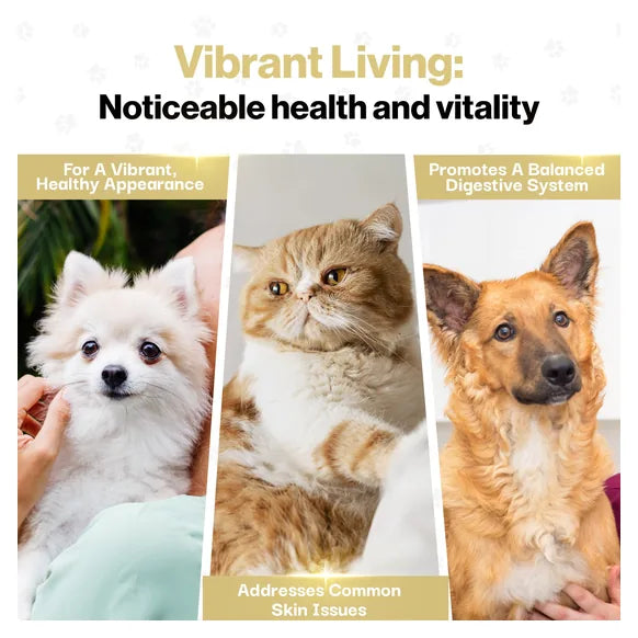 ProBioPets Skin & Coat Probiotic For Pets – product image 8 – pet skin & coat supplement