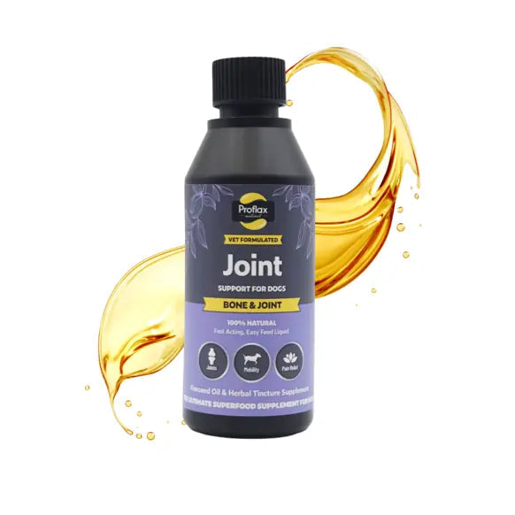 Proflax Bone, Joint & Mobility Liquid for Dogs 100ml