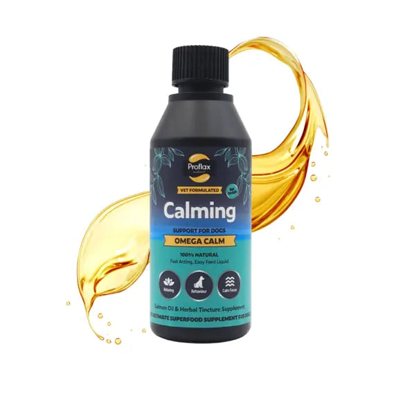 Proflax Omega Calm liquid dog supplement – 100ml bottle