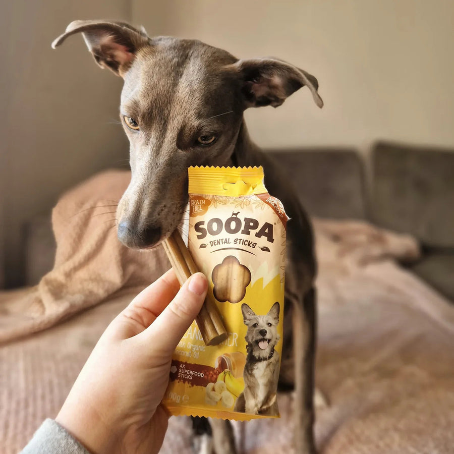 Soopa Banana & Peanut Butter Dog Dental Sticks – 100g product packaging